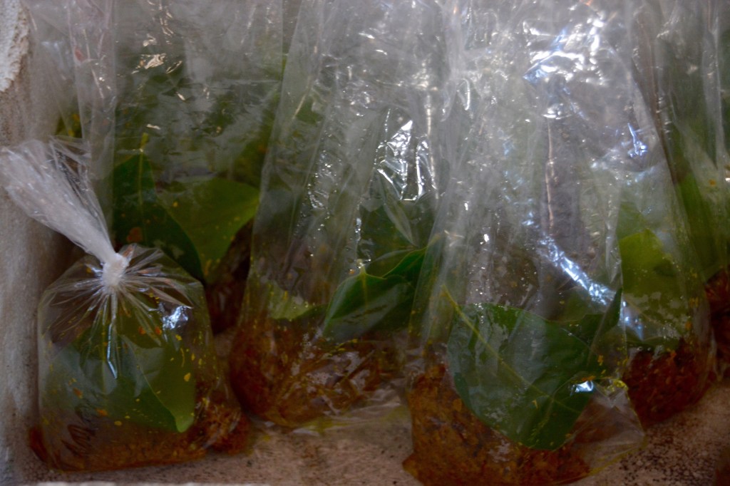 Fresh spice mix (bumbu)