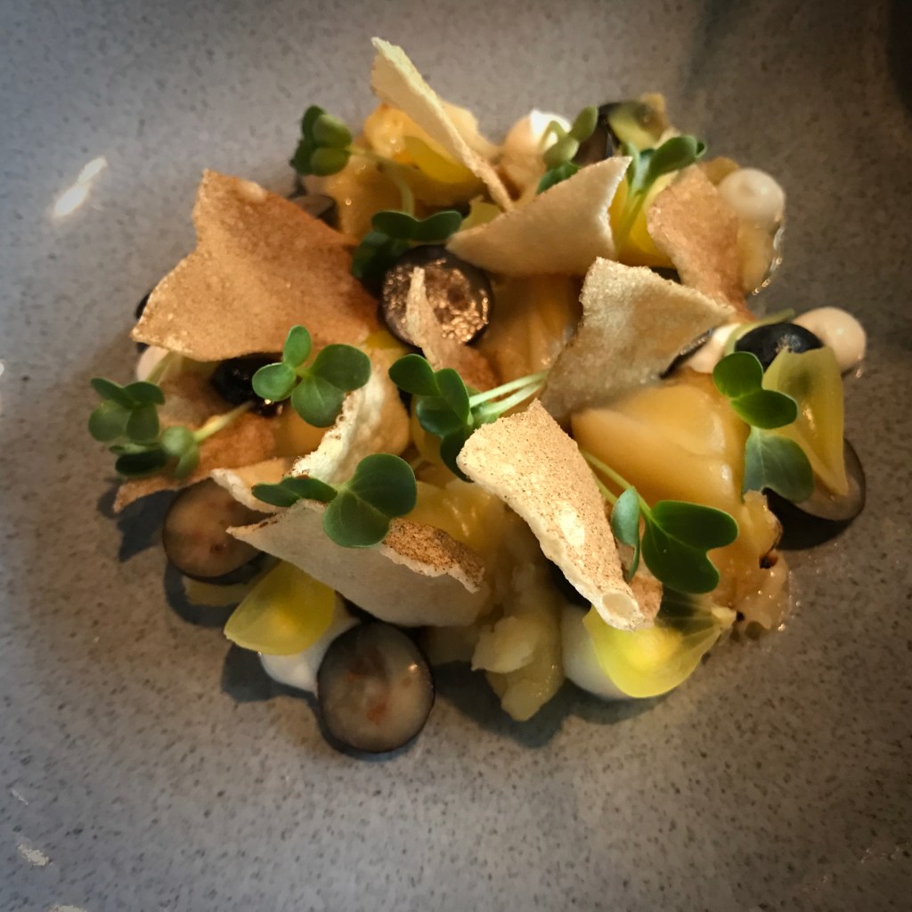 Aan de Poel** – Amstelveen (Dec 2016)