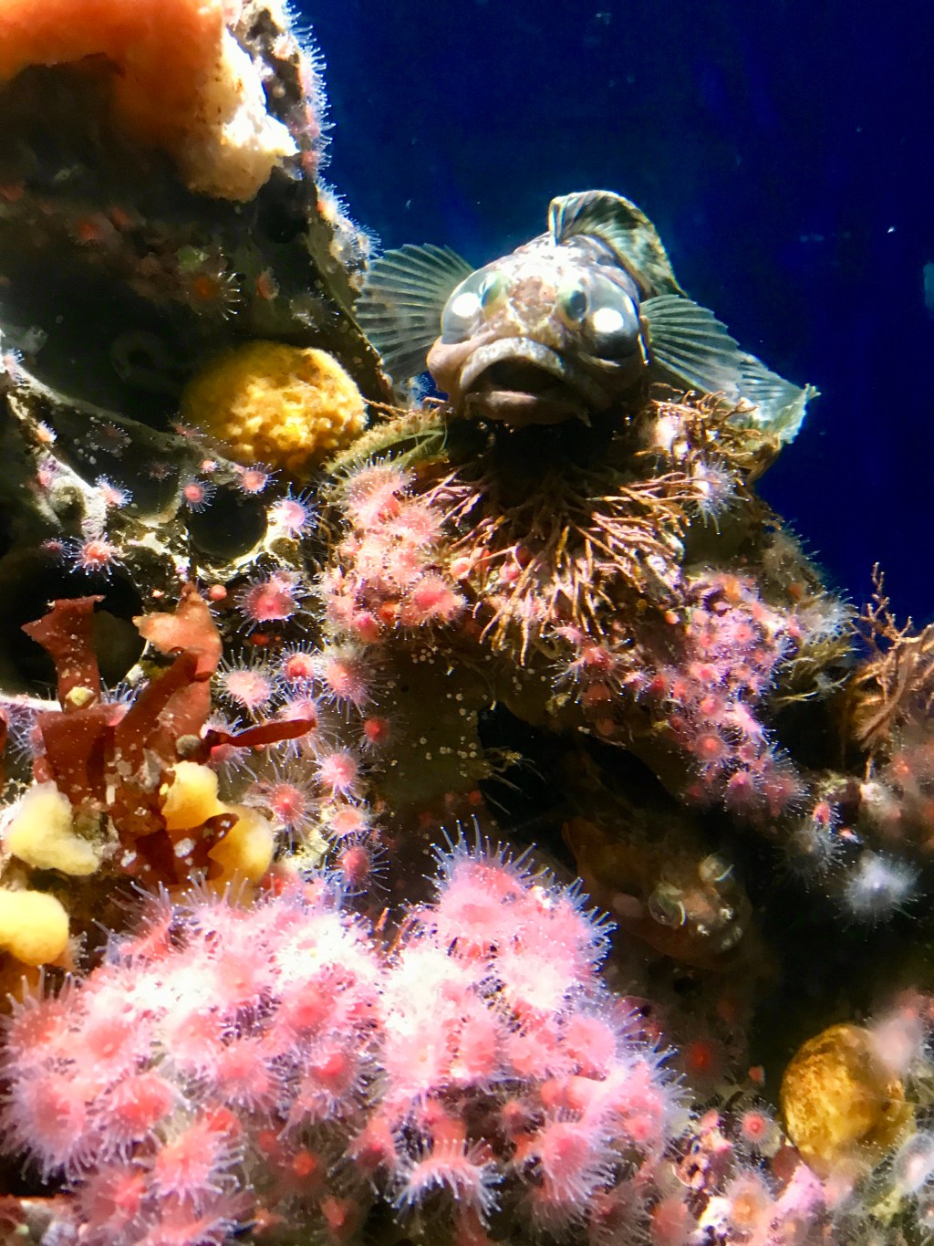 Around the World – Pacific Northwest USA (part 11) – San Francisco – Monterey,&nbsp;California