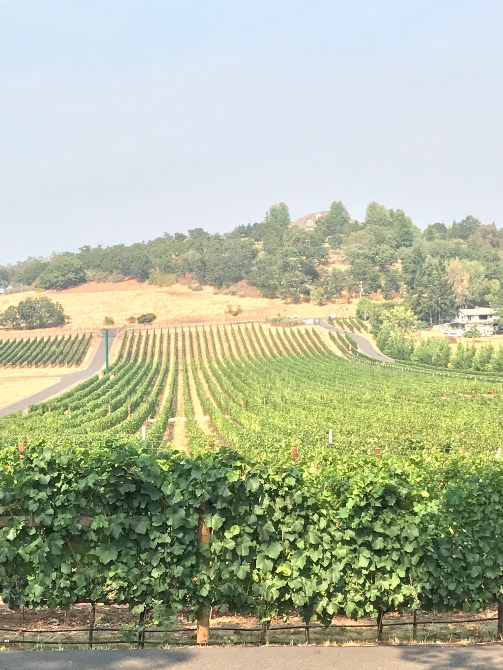 Around the World – Pacific Northwest USA (part 15) – Anderson, CA to Medford,&nbsp;OR