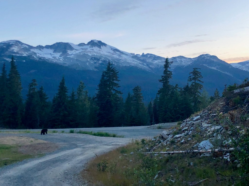 Around the World – British Columbia road trip (2019) – Whistler